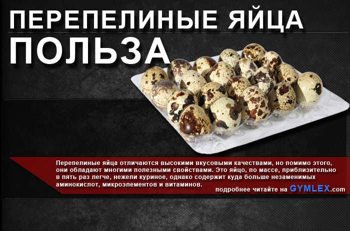 Какими полезными свойствами обладают перепелиные яйца