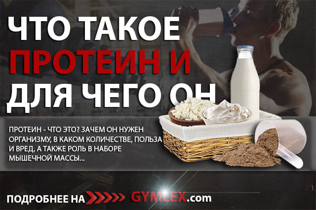 Назначение протеина при силовых тренировках