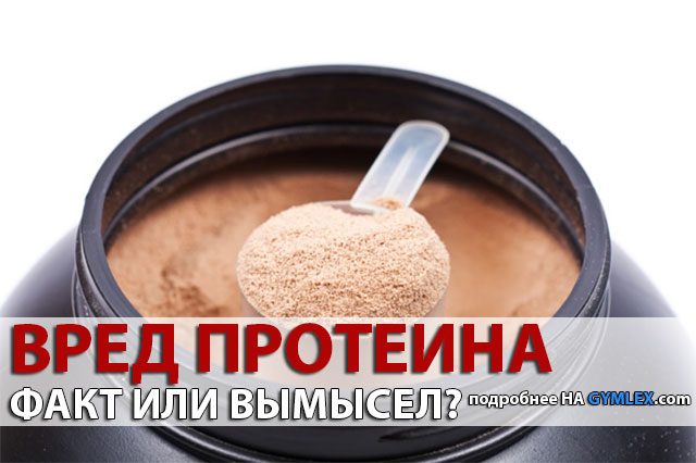Вред протеина — ВЫМЫСЕЛ И ФАКТЫ о вреде протеинов