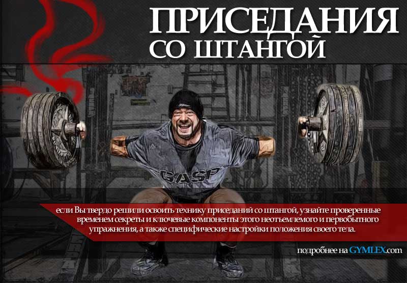 Техника выполнения приседаний Техника выполнения приседаний